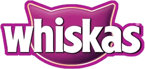 Главная